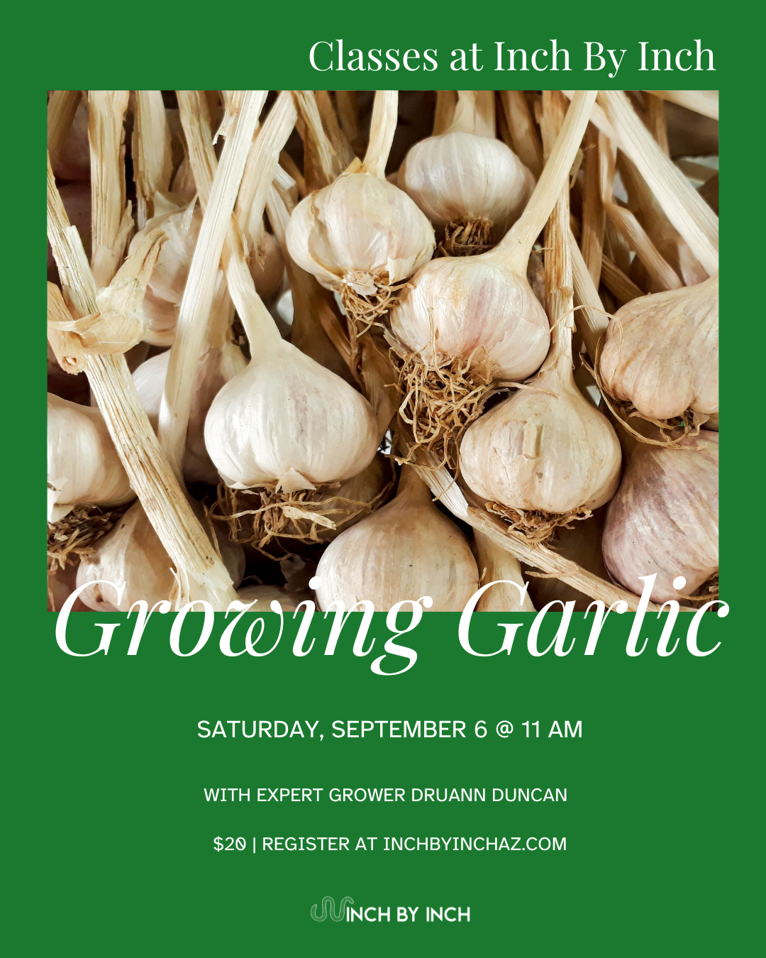 Growing Garlic with DruAnn Duncan Class