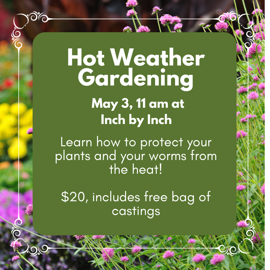 Hot Weather Gardening and Worm Care Class
