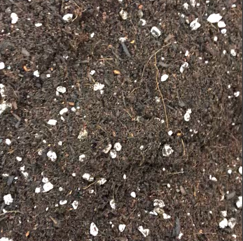 Raised Bed Mix
