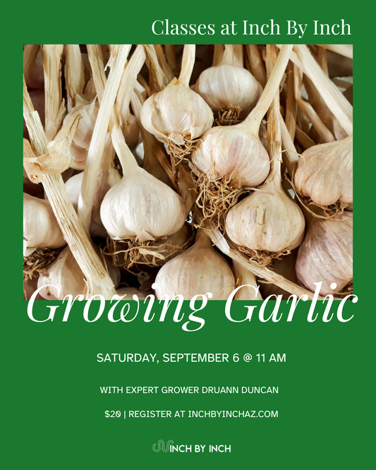 Growing Garlic with DruAnn Duncan Class