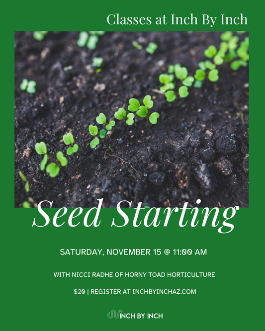 Seed Starting with Nicci Radhe Class