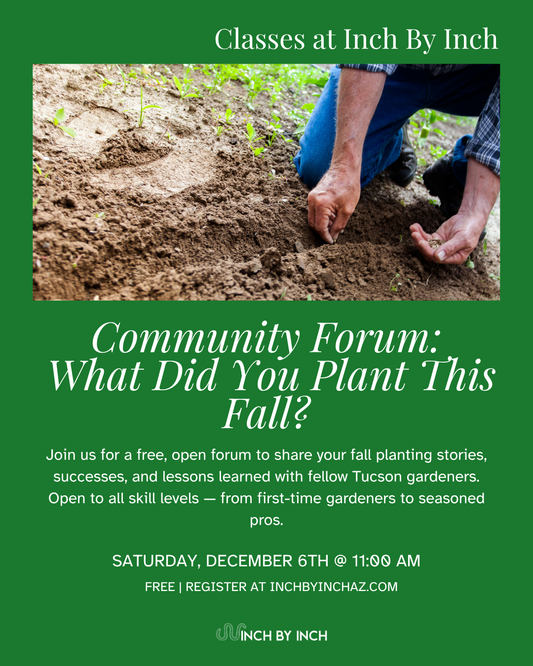 Community Forum: What did you plant this fall?