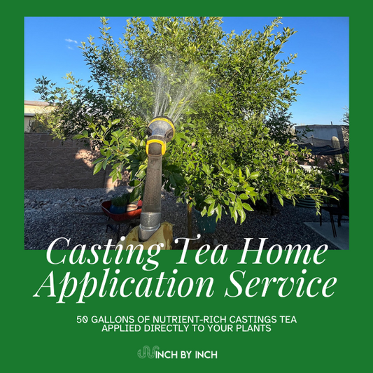 Casting Tea Home Application Service Appointment
