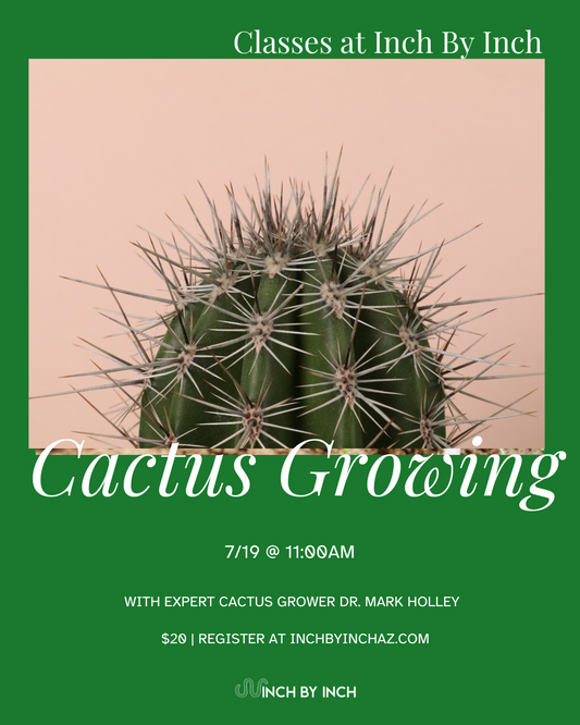 Cactus Growing Class