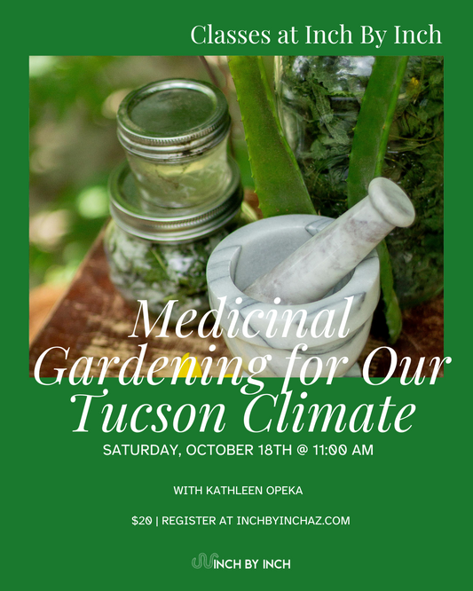 Medicinal Gardening for Our Tucson Climate Class with Kathleen Opeka