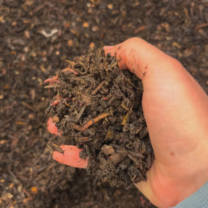 Soil Builder Mix