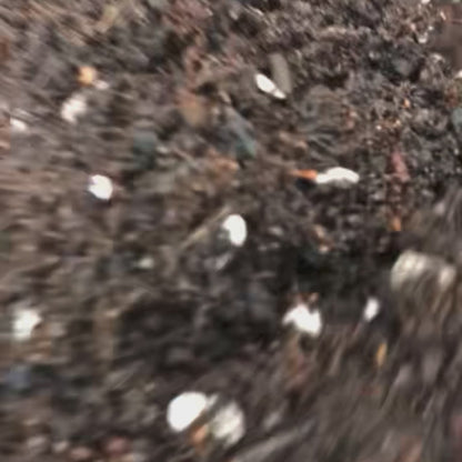 Raised Bed Mix