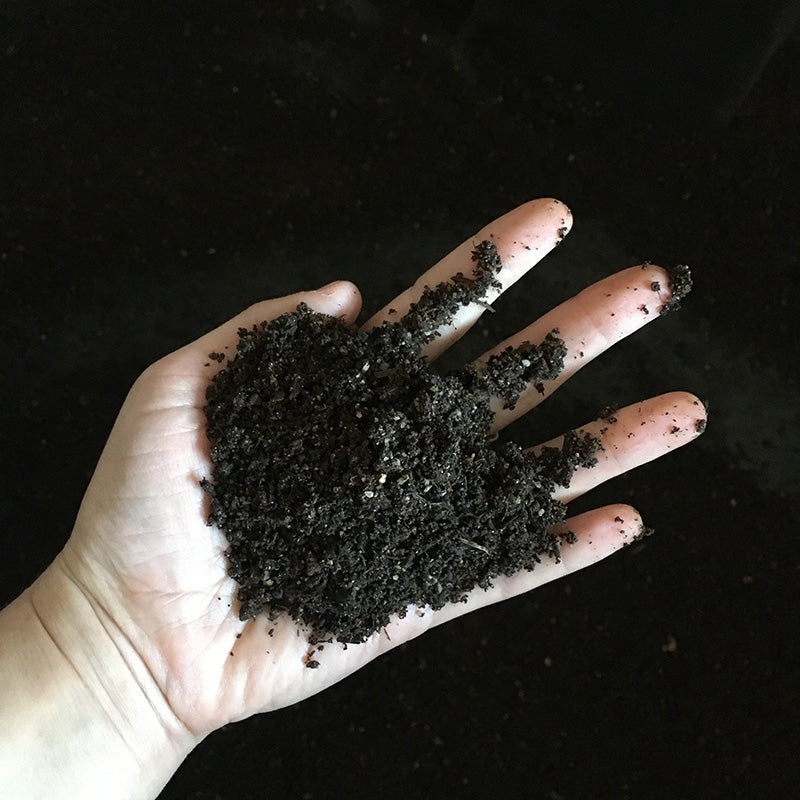 Premium Worm Castings