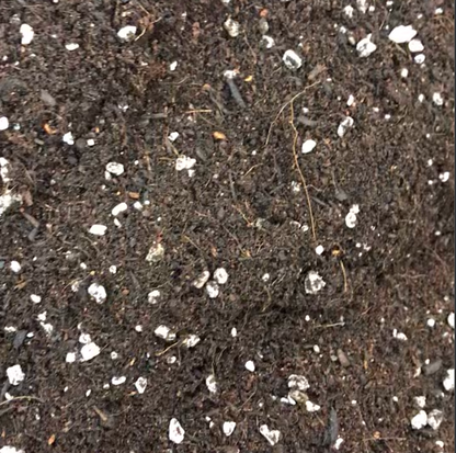 Raised Bed Mix
