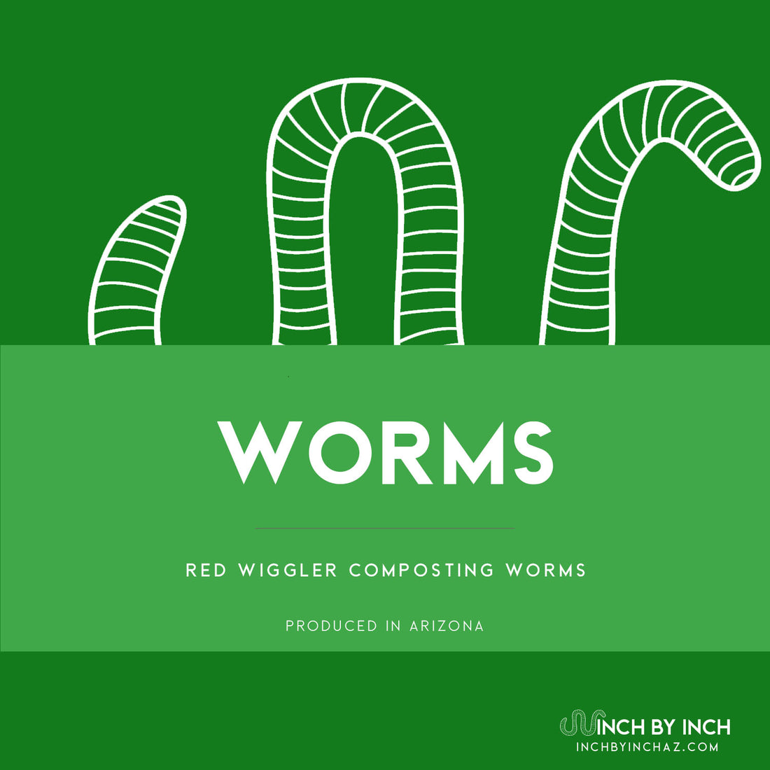 Red Wiggler Composting Worms – Inch by Inch AZ Worm Castings